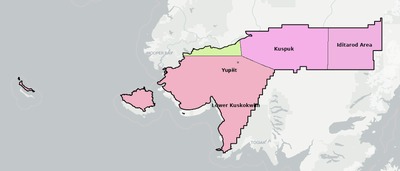 Bethel County AK school district boundaries map