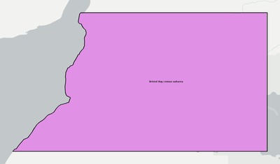 Bristol Bay County AK townships and subdivisions map