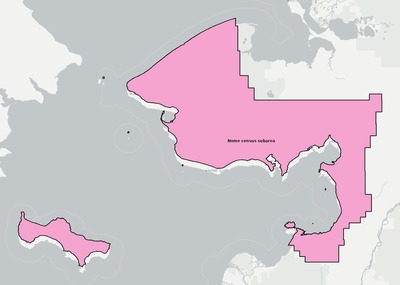 Nome County AK townships and subdivisions map