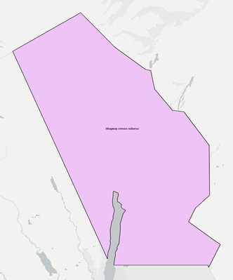 Skagway County AK townships and subdivisions map