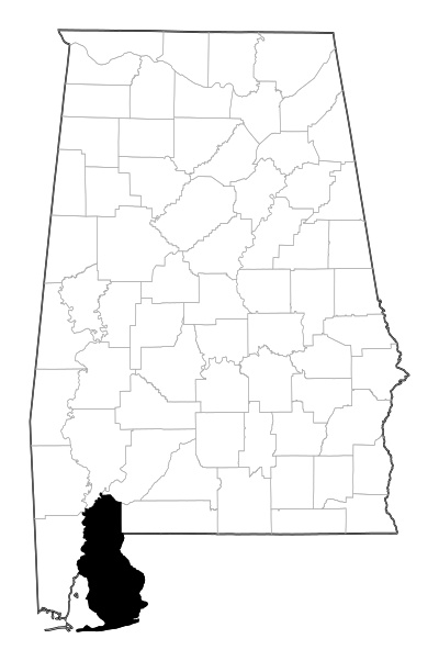 Baldwin County in Alabama