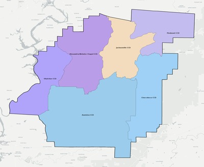 Calhoun County AL townships and subdivisions map