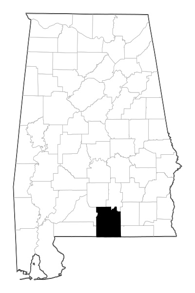 Covington County in Alabama