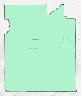 Covington County AL school district boundaries map