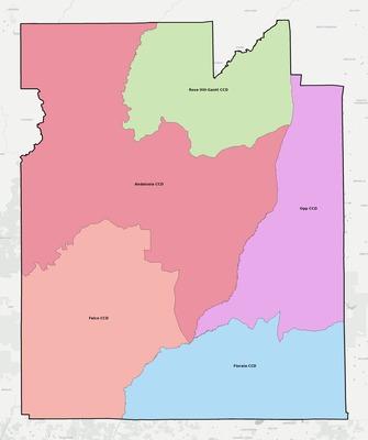 Covington County AL townships and subdivisions map