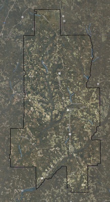 Crenshaw County AL USGS imagery and topo map