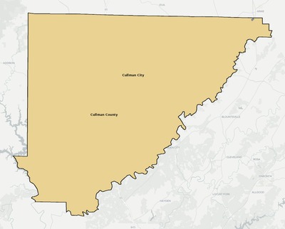 Cullman County AL school district boundaries map