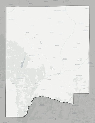 Dale County AL county basemap context