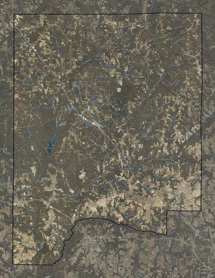 Dale County AL USGS imagery and topo map