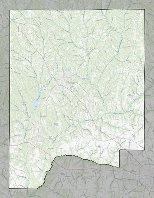 Dale County AL USGS topo map