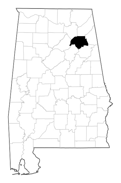 Etowah County in Alabama
