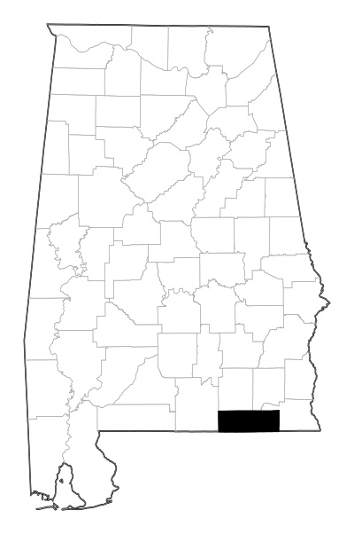 Geneva County in Alabama