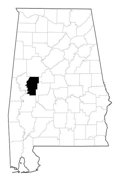 Hale County in Alabama