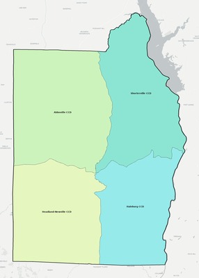 Henry County AL townships and subdivisions map