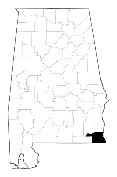 Houston County in Alabama