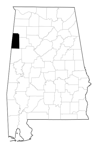 Lamar County in Alabama