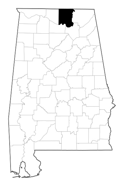 Madison County in Alabama