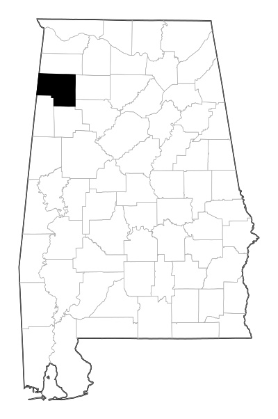 Marion County in Alabama