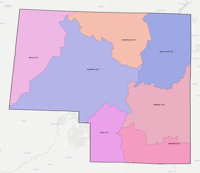 Marion County AL townships and subdivisions map