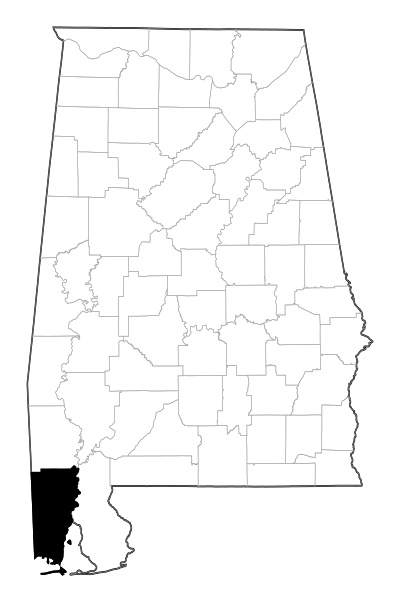 Mobile County in Alabama