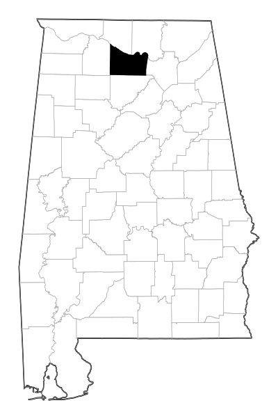 Morgan County in Alabama