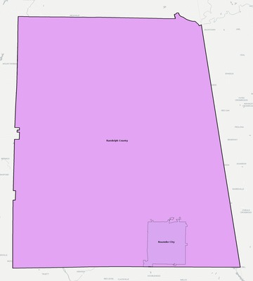Randolph County AL school district boundaries map