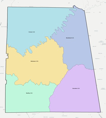 Randolph County AL townships and subdivisions map
