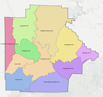 Tuscaloosa County AL county subdivision map preview