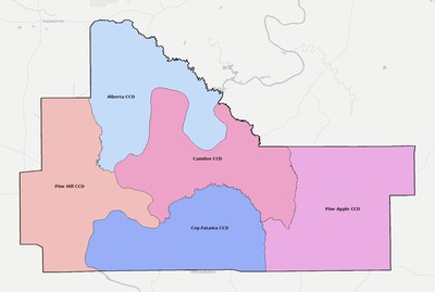Wilcox County AL townships and subdivisions map