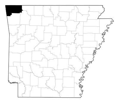 Benton County in Arkansas