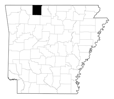 Boone County in Arkansas