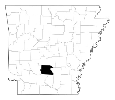 Dallas County in Arkansas