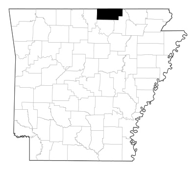 Fulton County in Arkansas
