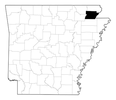 Greene County in Arkansas