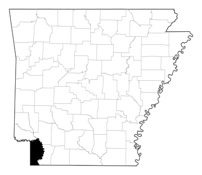 Miller County in Arkansas