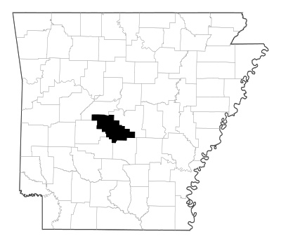 Saline County in Arkansas