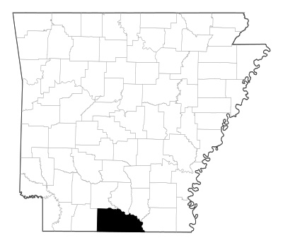 Union County in Arkansas