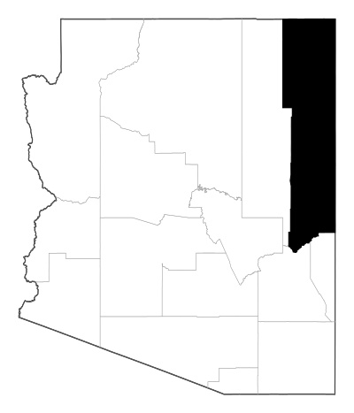Apache County in Arizona
