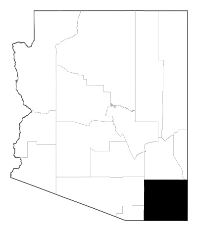 Cochise County in Arizona