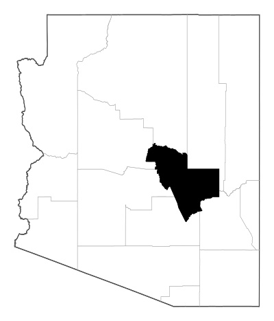 Gila County in Arizona