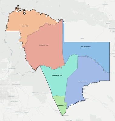 Gila County AZ townships and subdivisions map