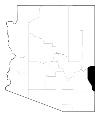 Greenlee County in Arizona