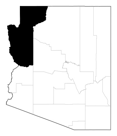Mohave County in Arizona