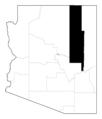 Navajo County in Arizona