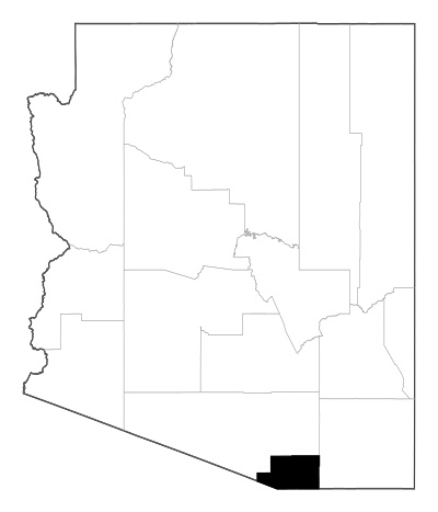 Santa Cruz County in Arizona
