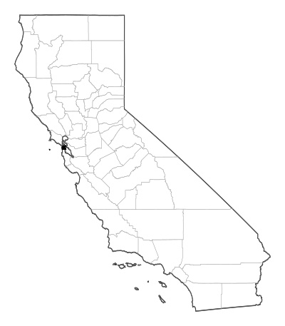 San Francisco County in California
