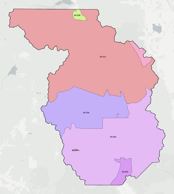Chaffee County CO ZIP code boundaries map