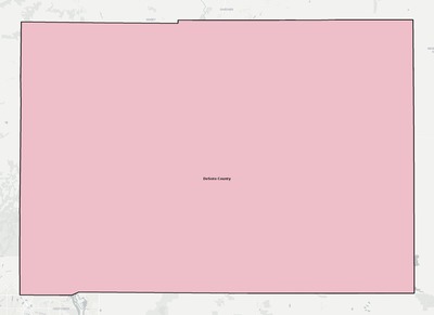 DeSoto County FL school district boundaries map