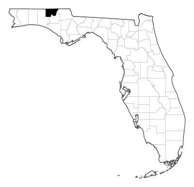 Holmes County in Florida