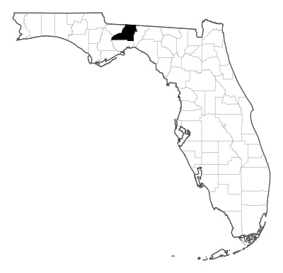 Leon County in Florida